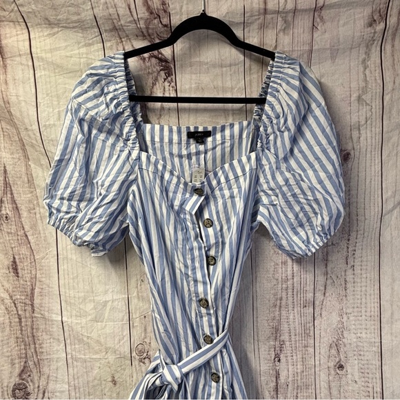Striped Blue and White Button-Down Dress - Picture 4 of 8